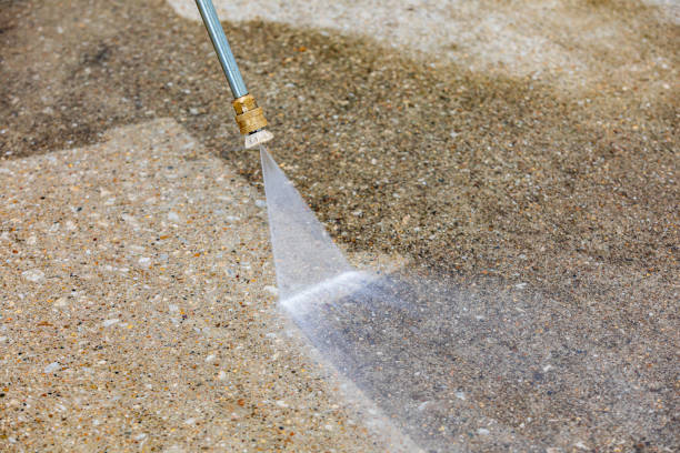 Best Oil Spill Cleanup  in Elmira Heights, NY